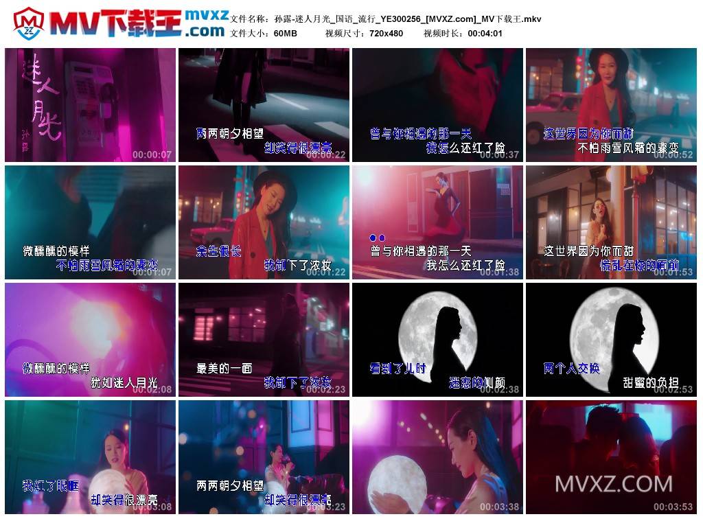 孙露-迷人月光_国语_流行_YE300256